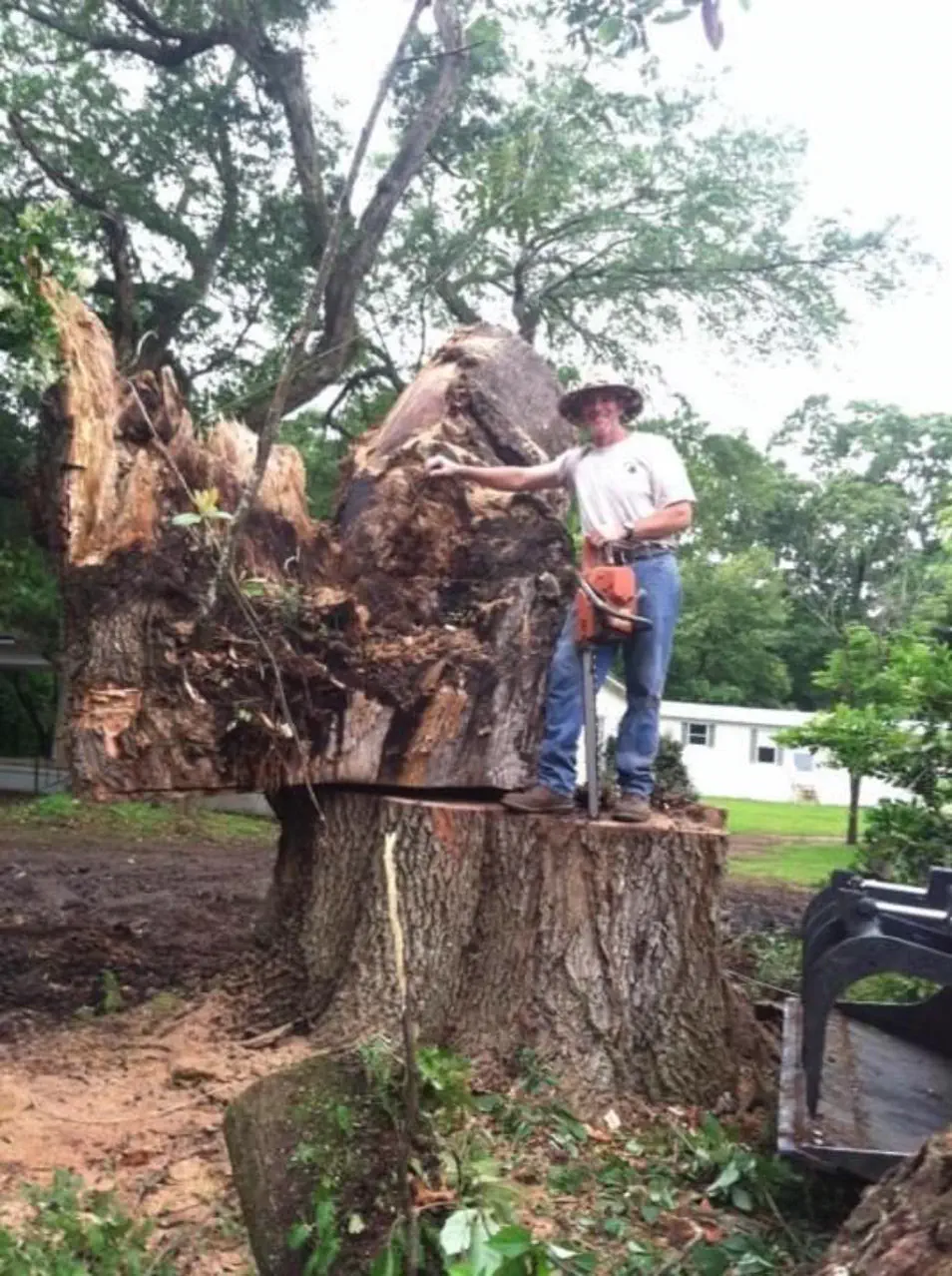 Corbin’s dad standing on a freshly cut tree trunk during a job
