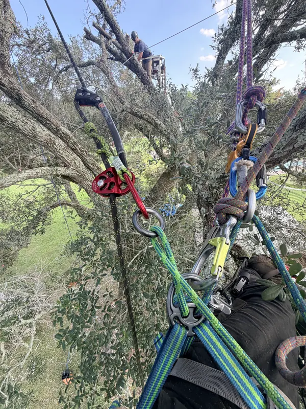 A climber’s ropes and harness high above the property